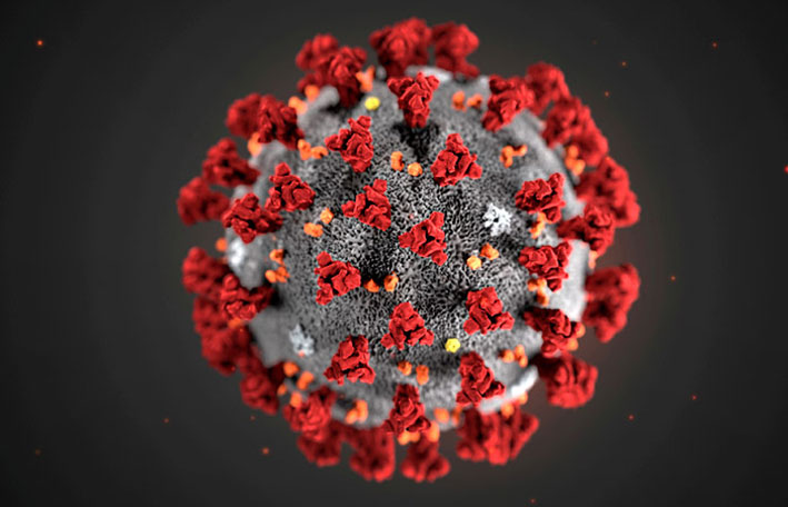 Раскрыто истинное происхождение коронавируса
